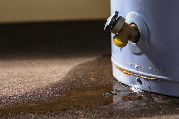 Best Water damage contractors near me  in San Anselmo, CA