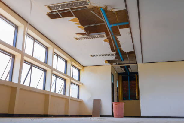 Best Water damage cleanup near me  in San Anselmo, CA