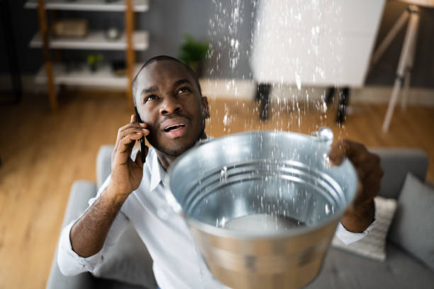 Best Water damage restoration cost  in San Anselmo, CA