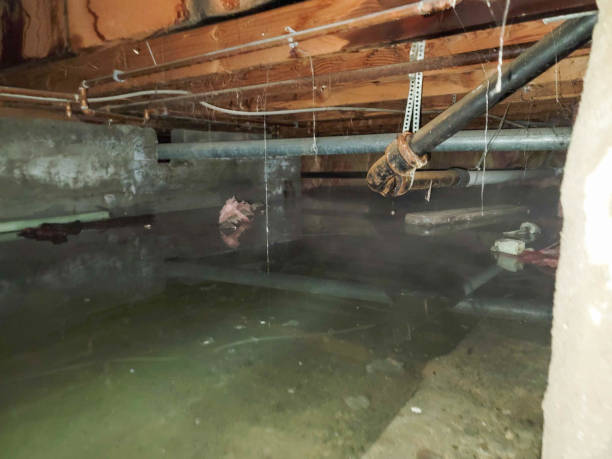 Best 24-hour water damage restoration  in San Anselmo, CA