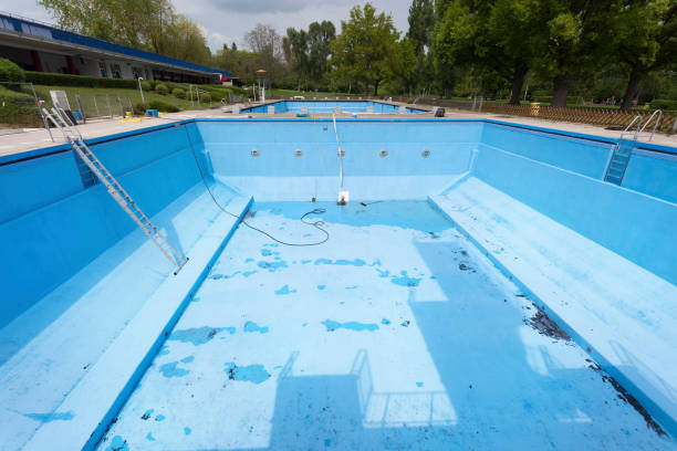 Best Mold removal after water damage  in San Anselmo, CA