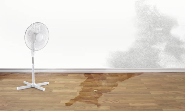 Best Water damage restoration insurance claims  in San Anselmo, CA