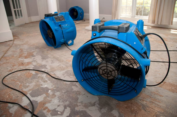 Best Sewage cleanup and water damage restoration  in San Anselmo, CA