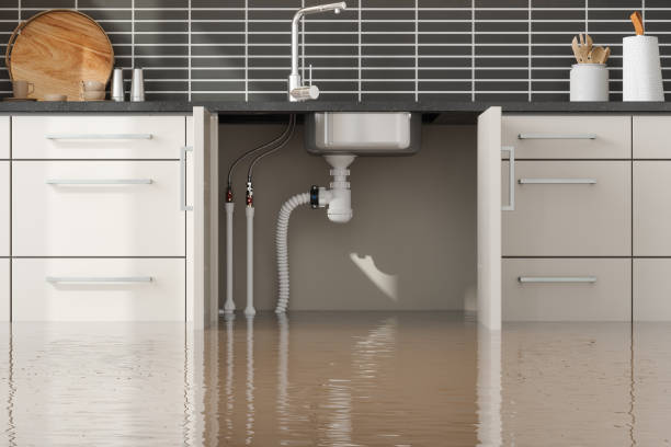 Best 24/7 water damage repair  in San Anselmo, CA