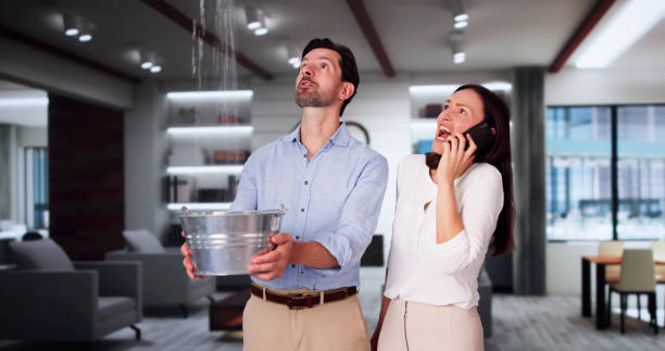 Best Flooded house restoration  in San Anselmo, CA